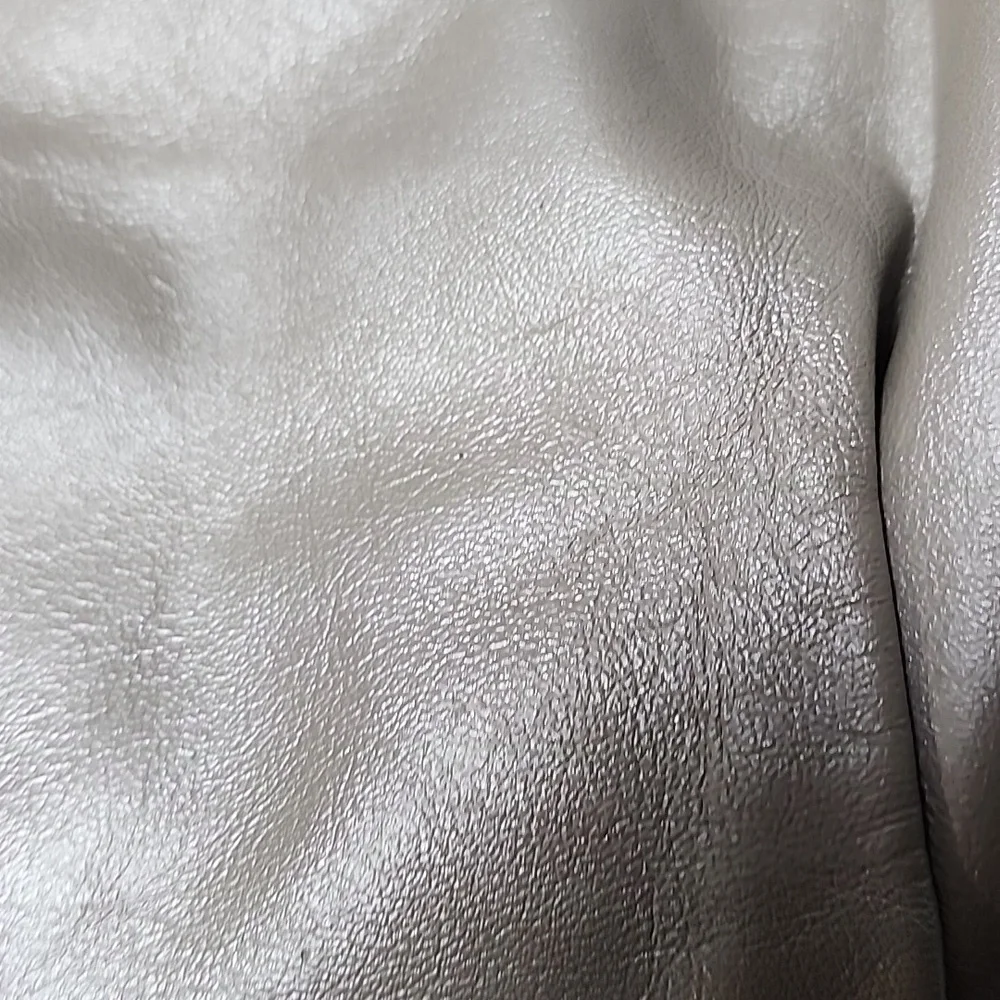 Coach metallic taupe